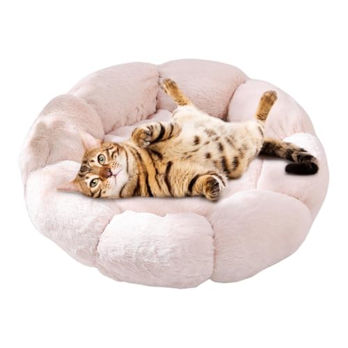 Ghjkldha Beruhigendes Blumen-Katzenbett | Katzenbett in Blumenform für | Beruhigendes Katzenbett mit beruhigendem Blumendesign, gemütliches Blumen-Katzenbett, Haustierbett für beruhigende Katzen Ghjkldha Beruhigendes Blumen-Katzenbett | Katzenbett in Blumenform für | Beruhigendes Katzenbett mit beruhigendem Blumendesign, gemütliches Blumen-Katzenbett, Haustierbett für beruhigende Katzen von Ghjkldha