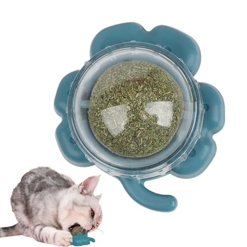 Ghjkldha Catnip Ball Toy, Lickable Teeth Cleaning Treat, Chewable Catnip Snack for Cats and Kittens, Interactive Pet Chewing Toy for Home, Furniture, and Playtime, 2.52x2.2x1.46 inches Ghjkldha Catnip Ball Toy, Lickable Teeth Cleaning Treat, Chewable Catnip Snack for Cats and Kittens, Interactive Pet Chewing Toy for Home, Furniture, and Playtime, 2.52x2.2x1.46 inches von Ghjkldha