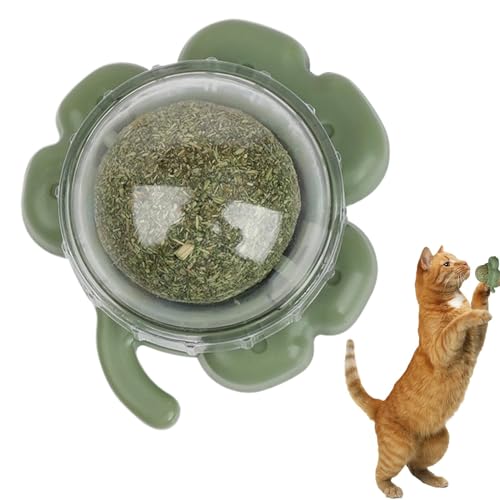 Ghjkldha Catnip Ball Toy, Lickable Teeth Cleaning Treat, Chewable Catnip Snack for Cats and Kittens, Interactive Pet Chewing Toy for Home, Furniture, and Playtime, 2.52x2.2x1.46 inches Ghjkldha Catnip Ball Toy, Lickable Teeth Cleaning Treat, Chewable Catnip Snack for Cats and Kittens, Interactive Pet Chewing Toy for Home, Furniture, and Playtime, 2.52x2.2x1.46 inches von Ghjkldha