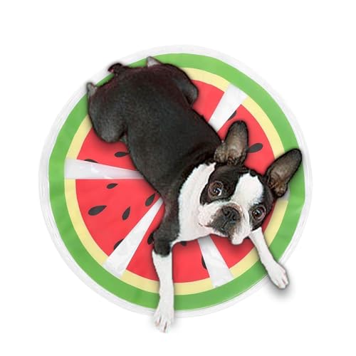 Ghjkldha Haustier-Wasserbett, Haustier-Kühlwasser-Pad, rundes kühlendes Katzenbett, niedliches Obstmuster, Wasserspielmatte, tragbare kühlende Hundematte, verspielte sensorische Kühlmatte für Katzen Ghjkldha Haustier-Wasserbett, Haustier-Kühlwasser-Pad, rundes kühlendes Katzenbett, niedliches Obstmuster, Wasserspielmatte, tragbare kühlende Hundematte, verspielte sensorische Kühlmatte für Katzen von Ghjkldha