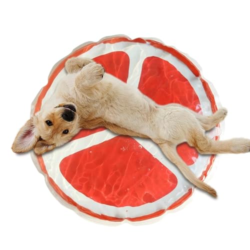 Ghjkldha Haustier-Wasserbett, Haustier-Kühlwasser-Pad, rundes kühlendes Katzenbett, niedliches Obstmuster, Wasserspielmatte, tragbare kühlende Hundematte, verspielte sensorische Kühlmatte für Katzen Ghjkldha Haustier-Wasserbett, Haustier-Kühlwasser-Pad, rundes kühlendes Katzenbett, niedliches Obstmuster, Wasserspielmatte, tragbare kühlende Hundematte, verspielte sensorische Kühlmatte für Katzen von Ghjkldha