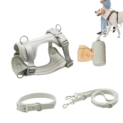 Ghjkldha Hundegeschirr-Set | Hundehalsband, Leine-Set, kein Ziehen, Haustiergeschirr für Hunde, Welpen, mit Kotbeutelhalter von Ghjkldha