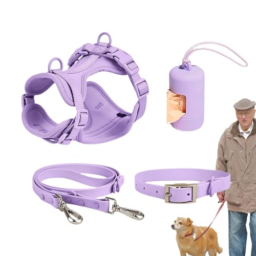 Ghjkldha Hundeleinen-Set, Haustiergeschirr, Halsband und Leine, Hundegeschirr mit Leine, Sicherheitshalsband, verstellbar, mit Kotbeutelhalter von Ghjkldha