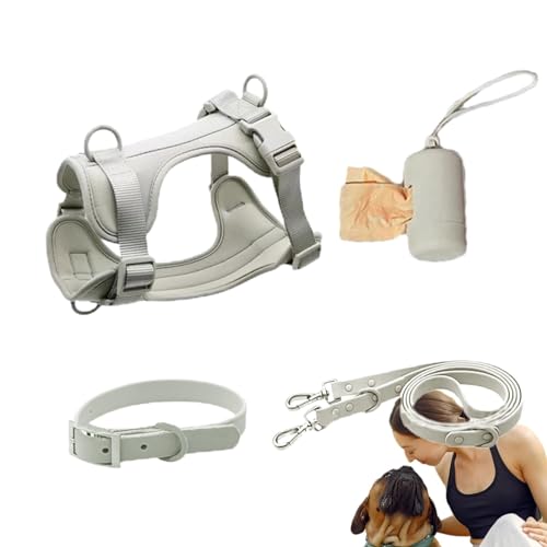 Ghjkldha Hundeleinen-Set – Haustiergeschirr, Halsband und Leine, Set mit Leine, kein Ziehen, Haustiergeschirr für Hunde, Welpen, mit Kotbeutelhalter von Ghjkldha