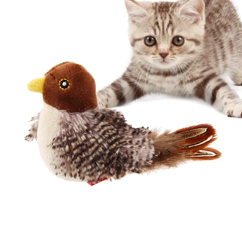 Ghjkldha Interaktives Maus-Spielzeug, Vogel-Katzenspielzeug, interaktiv, quietschende Maus, Katzenspielzeug, interaktives Haustier-Zwitscher-Vogel, interaktives Katzen- -Spielzeug mit Ghjkldha Interaktives Maus-Spielzeug, Vogel-Katzenspielzeug, interaktiv, quietschende Maus, Katzenspielzeug, interaktives Haustier-Zwitscher-Vogel, interaktives Katzen- -Spielzeug mit von Ghjkldha