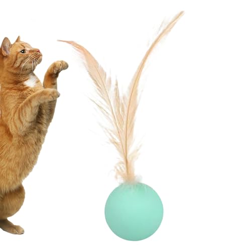 Ghjkldha Katzenspielzeug Bälle – Langeweile Linderung Spielzeug | Sensorischer Stimulationsball mit Feder für drinnen und draußen Spielen Jagd Übung Training Langeweile Linderung Ghjkldha Katzenspielzeug Bälle – Langeweile Linderung Spielzeug | Sensorischer Stimulationsball mit Feder für drinnen und draußen Spielen Jagd Übung Training Langeweile Linderung von Ghjkldha