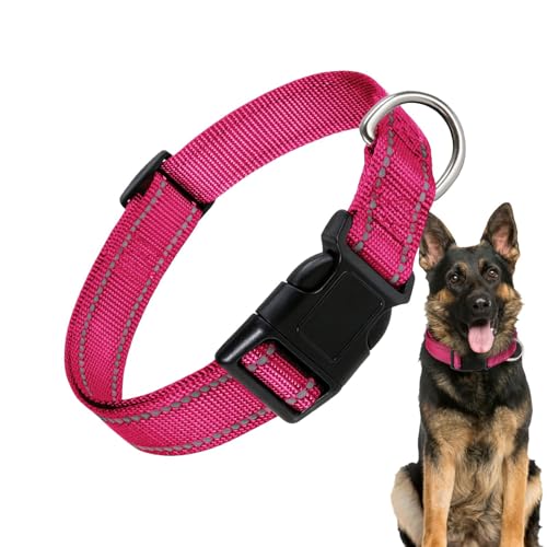 Ghjkldha Reflektierendes Halsband für Haustiere, verstellbares Katzenhalsband, verstellbare Nylon-Schnalle, atmungsaktiv, bequem für verschiedene Hunde von Ghjkldha