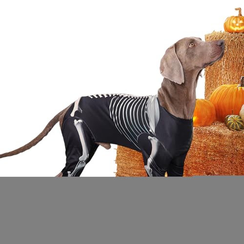Halloween Kostüme Für Hunde | Hund Skelett Overall | Haustier Halloween Bodysuit Für Feste Fotos Feiertage Cosplay von Ghjkldha