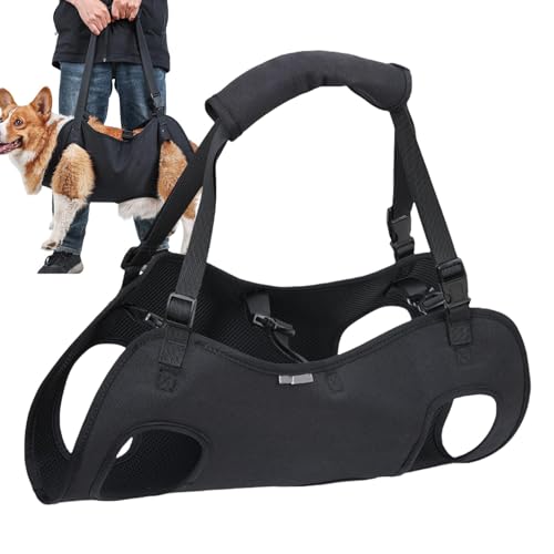 Hunde Tragegeschirr | Haustier Hebegeschirr Hund Stützgeschirr Hund Hebegeschirr Hund Geschirr mit Griff Stützendes Hundegeschirr Rückenstütze Hundegeschirr Front Support Hundegeschirr Dog Mobi Hunde Tragegeschirr | Haustier Hebegeschirr Hund Stützgeschirr Hund Hebegeschirr Hund Geschirr mit Griff Stützendes Hundegeschirr Rückenstütze Hundegeschirr Front Support Hundegeschirr Dog Mobi von Ghjkldha