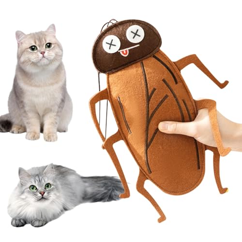 Kakerlakenförmiges Katzenspielzeug für Kätzchen, Filz Zahnspielzeug mit Glocke für Katzen, interaktives Haustier-Spielspielzeug, um Langeweile zu reduzieren, fördert Bewegung und gesundes Spielen Kakerlakenförmiges Katzenspielzeug für Kätzchen, Filz Zahnspielzeug mit Glocke für Katzen, interaktives Haustier-Spielspielzeug, um Langeweile zu reduzieren, fördert Bewegung und gesundes Spielen von Ghjkldha