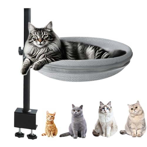 Katzenbett Für Schreibtisch, Kätzchen Hängematte 360 Grad drehbar, Sanftes Kuscheliges Ruhebett Für Wohnung Schreibtisch Nachttisch Heizung Auto Balkon von Ghjkldha