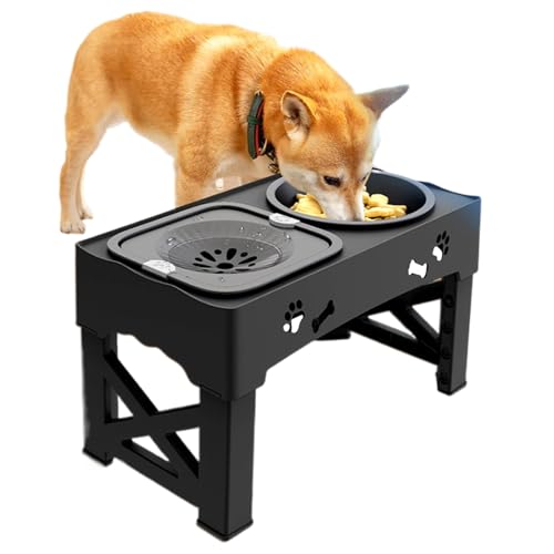 Katzenfutterspender Wasserspender Kompaktes Futternapf-Set Rutschfeste Unterseite Automatische Versorgung für kleine Haustiere Kätzchen Welpen tägliche Fütterung 42 x 24 x 8 cm Katzenfutterspender Wasserspender Kompaktes Futternapf-Set Rutschfeste Unterseite Automatische Versorgung für kleine Haustiere Kätzchen Welpen tägliche Fütterung 42 x 24 x 8 cm von Ghjkldha