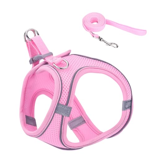 Katzengeschirr, Weiches Reflektierendes Mesh Geschirr Und Leine, Größen S M L Für Wanderungen Training Reisen Outdoor Katzengeschirr, Weiches Reflektierendes Mesh Geschirr Und Leine, Größen S M L Für Wanderungen Training Reisen Outdoor von Ghjkldha
