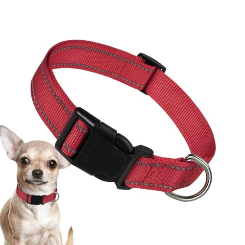Nylon Hundehalsband | Verstellbares Katzenhalsband | Nylon Hundehalsband, Hund Komfort Halsband Atmungsaktiv, Bequem Für Große Katze, Kleine Hunde Nylon Hundehalsband | Verstellbares Katzenhalsband | Nylon Hundehalsband, Hund Komfort Halsband Atmungsaktiv, Bequem Für Große Katze, Kleine Hunde von Ghjkldha