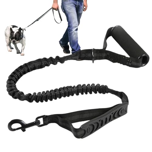 Reflektierende Nylon Haustierleine, Mehrzweck-Hundeleine, Haustierzubehör zum Spazierengehen, Hund zum Wandern, Training Hundeleine, Laufhund, Haustierleine, Sicherheit reflektierend, bequemer Hund Reflektierende Nylon Haustierleine, Mehrzweck-Hundeleine, Haustierzubehör zum Spazierengehen, Hund zum Wandern, Training Hundeleine, Laufhund, Haustierleine, Sicherheit reflektierend, bequemer Hund von Ghjkldha