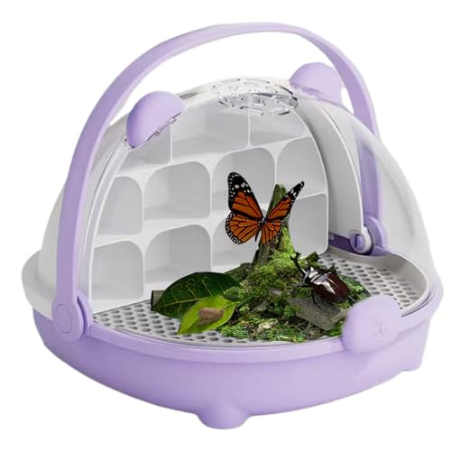 Seidenraupen-Transportbehälter | Tragbare transparente Futterbox mit Griff | Carrier Habitat Cage Beobachten Haustierhaus für Outdoor & Frösche von Ghjkldha