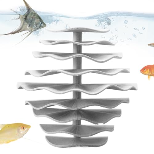 Shrimp Hide Cave, Fish Tank Decoration, Aquarium Shrimp House, Shrimp Hiding Cave, Stable Shrimp Breeding Cave Shelter for Fish Tanks Decoration and Aquarium Hideouts Shrimp Hide Cave, Fish Tank Decoration, Aquarium Shrimp House, Shrimp Hiding Cave, Stable Shrimp Breeding Cave Shelter for Fish Tanks Decoration and Aquarium Hideouts von Ghjkldha