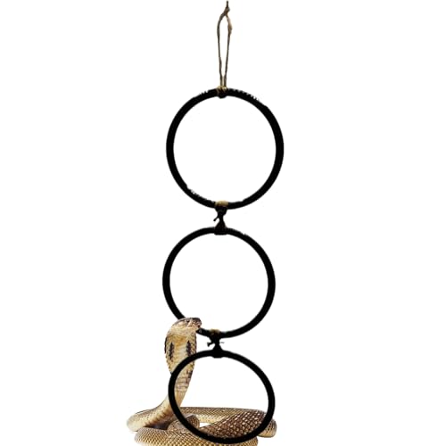 Snake Enrichment Toys, Reptile Climbing Decor with Swing Hoop Chain 11.4x42cm, Interactive Habitat Playground Accessory, Ideal for Amphibians and Indoor Terrarium Environments Snake Enrichment Toys, Reptile Climbing Decor with Swing Hoop Chain 11.4x42cm, Interactive Habitat Playground Accessory, Ideal for Amphibians and Indoor Terrarium Environments von Ghjkldha