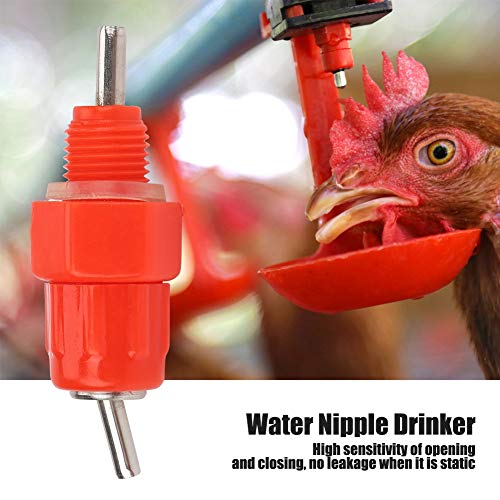 20pcs Automatische Wassernippeltrinker mit Hühnerwasser -Feeder für Hühnchen, Ente, Gänse und Andere Viehstock mit Hoher Empfindlichkeit und ohne Leckage 20pcs Automatische Wassernippeltrinker mit Hühnerwasser -Feeder für Hühnchen, Ente, Gänse und Andere Viehstock mit Hoher Empfindlichkeit und ohne Leckage von Ghzste