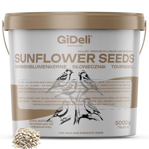 GiDeli Sonnenblumenkerne geschält 5kg naturfarbe vogelfütterung außenbereich Vogelfutter Vögel Wildvögel Sonnenblumen im Eimer GiDeli Sonnenblumenkerne geschält 5kg naturfarbe vogelfütterung außenbereich Vogelfutter Vögel Wildvögel Sonnenblumen im Eimer von GiDeli