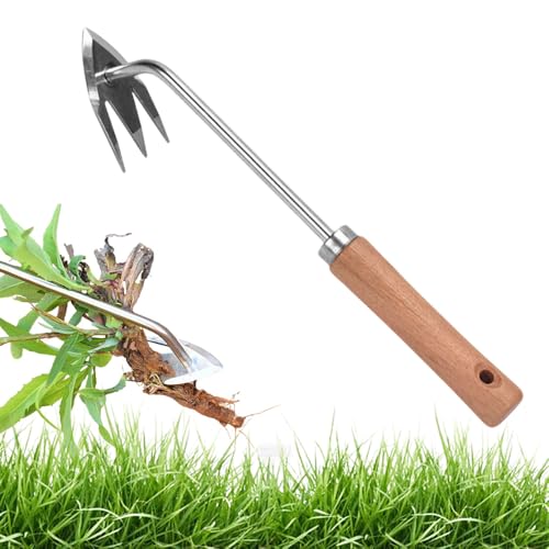 GiHie Unkrautentferner für Den Garten, Unkrautentferner aus Rostfreiem Stahl mit 3 Zähnen, Garten Geräte für Rasenpflege und Unkrautentfernung im Freien (Griff aus Holz) von GiHie