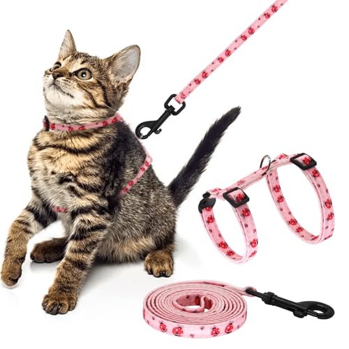 Giecooh Katzengeschirr und Leine aus Baumwolle, ausbruchsicher, verstellbar, weiches Geschirr für Kätzchen, kleine & große Katzen, ideal für Reisen und Spaziergänge im Freien (Ladybug) von Giecooh