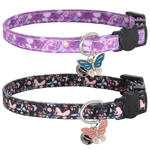 Giecooh Katzenhalsband, Baumwolle, 2 Stück, Katzenhalsband mit Glöckchen, Abreißhalsbänder für Mädchen, Jungen, Katzen, Kätzchen Giecooh Katzenhalsband, Baumwolle, 2 Stück, Katzenhalsband mit Glöckchen, Abreißhalsbänder für Mädchen, Jungen, Katzen, Kätzchen von Giecooh