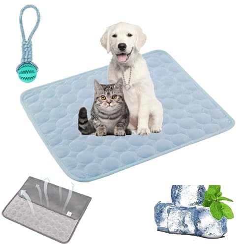Gienslru Cooling Mat Dog, Non-Slip and Durable Kühlmatte Hund, Washable Soft Kennel Pads, Foldable Cooling Mat, Dogs, Cats for Summer (Light Blue, M) von Gienslru