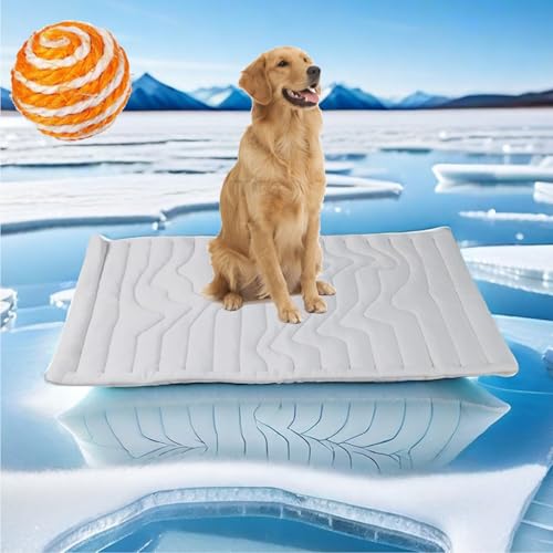 Gienslru Dr Pfoten Kühlmatte, PfotenChill - Die Innovative Kühlmatte für Hunde, pfotenchill kühlmatte Hund, Selbstkühlende Pads Sicher Und Komfortabel Für Deinen Hund (XL-59 * 40IN) von Gienslru