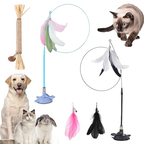 Gienslru Meowmastery Toy, Meow Mastery Teaser Wand with 3 Types of Replacement Feathers, Strong Suction Cup Cat Teaser Wand, Interactive Cat Wand Toy for Play & Exercise (A*2) von Gienslru