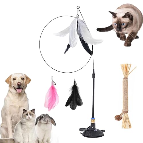 Gienslru Meowmastery Toy, Meow Mastery Teaser Wand with 3 Types of Replacement Feathers, Strong Suction Cup Cat Teaser Wand, Interactive Cat Wand Toy for Play & Exercise (Black) von Gienslru