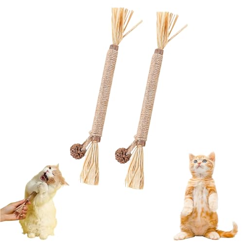 Gienslru Nunapets Cat Chew Toy, Nunapets Natural Silvervine Stick Cat Chew Toy, Nuna Pets Cat Chew Stick, Catnip Cat Chew Toys for Teeth Cleaning (A, 2pcs) von Gienslru