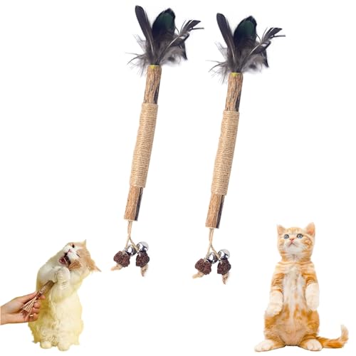 Gienslru Nunapets Cat Chew Toy, Nunapets Natural Silvervine Stick Cat Chew Toy, Nuna Pets Cat Chew Stick, Catnip Cat Chew Toys for Teeth Cleaning (B, 2pcs) von Gienslru