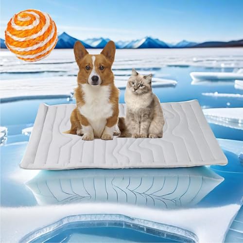 Gienslru Pfotenchill - Die Innovative Kühlmatte Für Hunde, Pfotenchill Kühlmatte Hund, Kühlmatte Katze, Selbstkühlend Kühlbett Ideal Für Zu Hause, Reisen (M-44LBS-20KG) von Gienslru