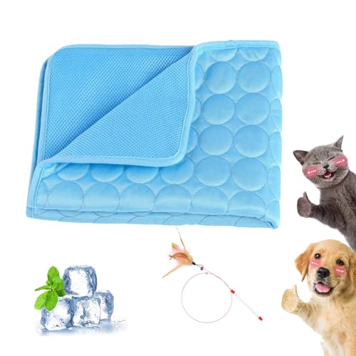 Gienslru Premium Kühlmatte für Hunde, Nordseepfote Kühlmatte, Nordseepfote Kühldecke Hund, Selbstkühlende Hundematte, Waschbar, Atmungsaktive Kühldecke für Hunde Und Katzen Mit 3D-Mesh (Blau, XS) Gienslru Premium Kühlmatte für Hunde, Nordseepfote Kühlmatte, Nordseepfote Kühldecke Hund, Selbstkühlende Hundematte, Waschbar, Atmungsaktive Kühldecke für Hunde Und Katzen Mit 3D-Mesh (Blau, XS) von Gienslru