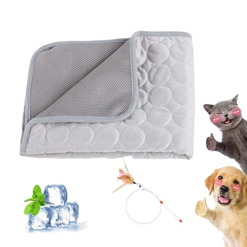 Gienslru Premium Kühlmatte für Hunde, Nordseepfote Kühlmatte, Nordseepfote Kühldecke Hund, Selbstkühlende Hundematte, Waschbar, Atmungsaktive Kühldecke für Hunde Und Katzen Mit 3D-Mesh (Grau, L) Gienslru Premium Kühlmatte für Hunde, Nordseepfote Kühlmatte, Nordseepfote Kühldecke Hund, Selbstkühlende Hundematte, Waschbar, Atmungsaktive Kühldecke für Hunde Und Katzen Mit 3D-Mesh (Grau, L) von Gienslru