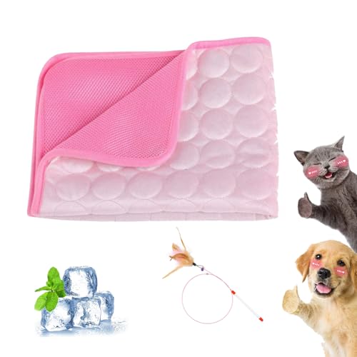 Gienslru Premium Kühlmatte für Hunde, Nordseepfote Kühlmatte, Nordseepfote Kühldecke Hund, Selbstkühlende Hundematte, Waschbar, Atmungsaktive Kühldecke für Hunde Und Katzen Mit 3D-Mesh (Rosa, XXL) Gienslru Premium Kühlmatte für Hunde, Nordseepfote Kühlmatte, Nordseepfote Kühldecke Hund, Selbstkühlende Hundematte, Waschbar, Atmungsaktive Kühldecke für Hunde Und Katzen Mit 3D-Mesh (Rosa, XXL) von Gienslru