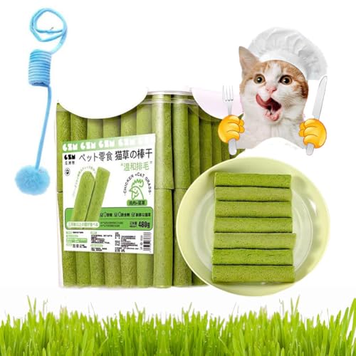 Katzengras-Beißstäbchen, Katzengras-Beißstäbchen-Haarballen, Fleisch- und Katzengras-Beißstäbchen für Hauskatzen, grünes Gras-Katzen-Beißstäbchen, CaDental-Pflege, Steigerung des Appetits (80Pcs) von Gienslru