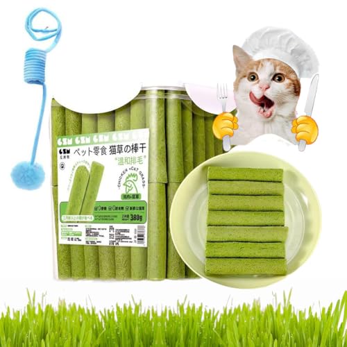 Katzengras-Beißstäbchen, Katzengras-Beißstäbchen-Haarballen, Fleisch- und Katzengras-Beißstäbchen für Hauskatzen, grünes Gras-Katzen-Beißstäbchen, CaDental-Pflege, Steigerung des Appetits (60Pcs) Katzengras-Beißstäbchen, Katzengras-Beißstäbchen-Haarballen, Fleisch- und Katzengras-Beißstäbchen für Hauskatzen, grünes Gras-Katzen-Beißstäbchen, CaDental-Pflege, Steigerung des Appetits (60Pcs) von Gienslru