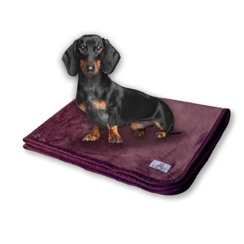 Giesty Hundedecke, Haustier Decken kuschelweich, Decken für Hunde Wasserdicht, maschinenwaschbar, beidseitiger Sofabezug-Schutz (Lila, M (60x74cm)) von Giesty