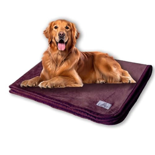 Giesty Hundedecke, Haustier Decken kuschelweich, Decken für Hunde Wasserdicht, maschinenwaschbar, beidseitiger Sofabezug-Schutz (Lila, XL (100x148cm)) von Giesty