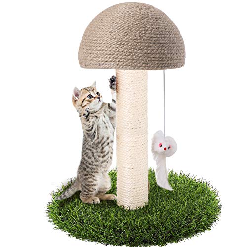 Katzenkratzbaum, Pilzklaue Kratzbaum für Kätzchen, Natursisal-Katzenkratzbaum mit hängender Maus Katze interaktives Spielzeug von GiftParty