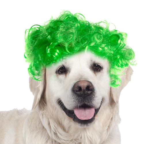 Lockige Hundeperücke, lockige Katzenperücke - Haustier lustige Kopfbedeckung - Kurzes lockiges Haar, kreative Haustier-Perücken, Verkleidungsdekorationen für Festivals, Tierhaar-Accessoires Lockige Hundeperücke, lockige Katzenperücke - Haustier lustige Kopfbedeckung - Kurzes lockiges Haar, kreative Haustier-Perücken, Verkleidungsdekorationen für Festivals, Tierhaar-Accessoires von Gihioue