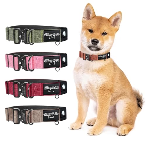 GIlley&Co Premium-Hundehalsband mit AirTag-Tasche – Verstellbares, strapazierfähiges Halsband mit Schnellverschluss-Metallschnalle für kleine Hunde, Orange (Brunnt Orange, Größe S) von Gilley & Co