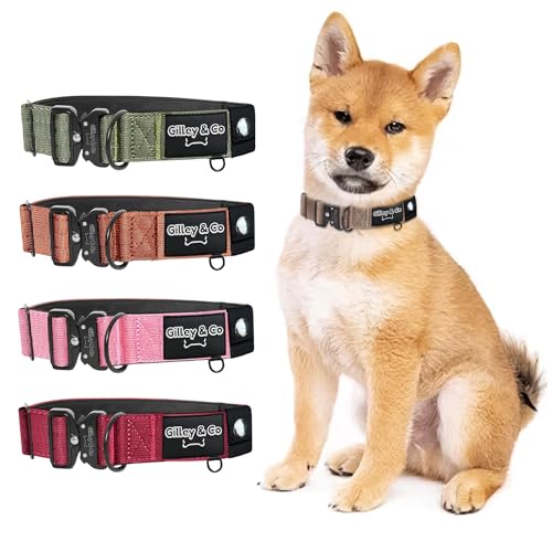 GIlley&Co Premium-Hundehalsband mit AirTag-Tasche – Verstellbares, strapazierfähiges Halsband mit Schnellverschluss-Metallschnalle für kleine Hunde (Erdbraun, klein) von Gilley & Co