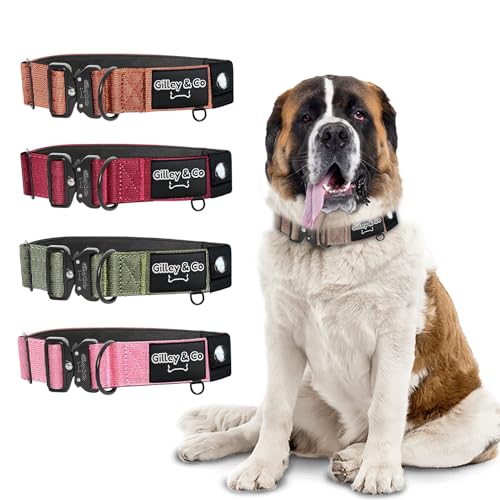 GIlley&Co Premium-Hundehalsband mit AirTag-Beutel, verstellbares, robustes Halsband mit Schnellverschluss-Metallschnalle, Erdbraun, Größe XL von Gilley & Co