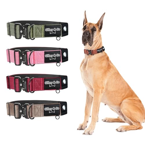GIlley&Co Premium-Hundehalsband mit AirTag-Tasche, verstellbares, robustes Halsband mit Schnellverschluss-Metallschnalle, Burnt Orange, Größe L von Gilley & Co