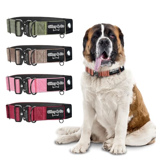 GIlley&Co Premium-Hundehalsband mit AirTag-Tasche, verstellbares, robustes Halsband mit Schnellverschluss-Metallschnalle, Burnt Orange, Größe XL von Gilley & Co