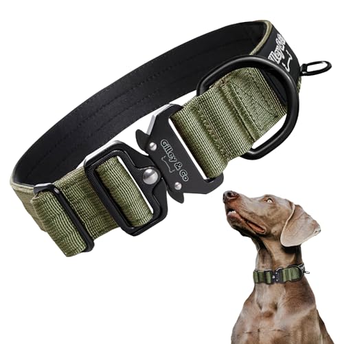 GIlley&Co Premium-Hundehalsband mit AirTag-Tasche – Verstellbares, strapazierfähiges Halsband mit Schnellverschluss-Metallschnalle für mittelgroße Hunde (Armeegrün, Größe M) von Gilley & Co