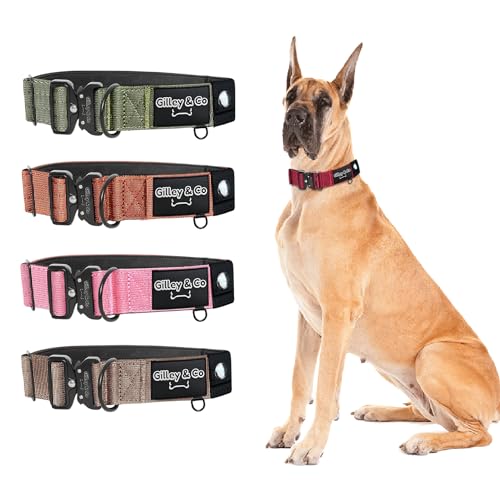 GIlley&Co Premium-Hundehalsband mit AirTag-Tasche, verstellbares, robustes Halsband mit Schnellverschluss-Metallschnalle (Rosy Red, L) von Gilley & Co